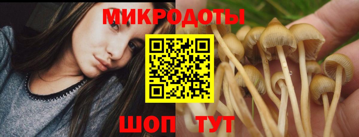 Галлюциногенные грибы Magic Shrooms  купить наркотик  Феодосия  Вход с VPN 