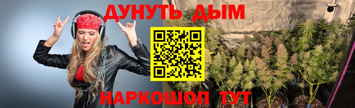 Каннабис тримм  Вход с VPN  Бошки Шишки индика  Феодосия  Канабис конопля 
